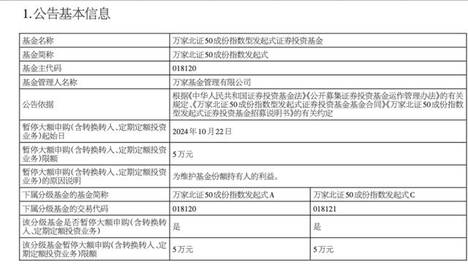 2024新澳精准资料免费提供,资深解答解释落实_特别款72.21127.13.