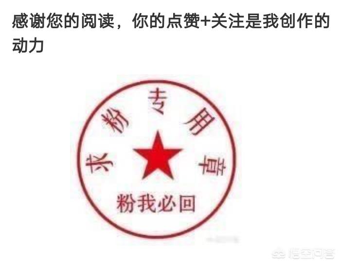 （二十不惑电视剧星辰影视在线观看）